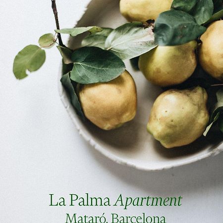Apartamento Atico En El Casco Antiguo Mataro Bagian luar foto